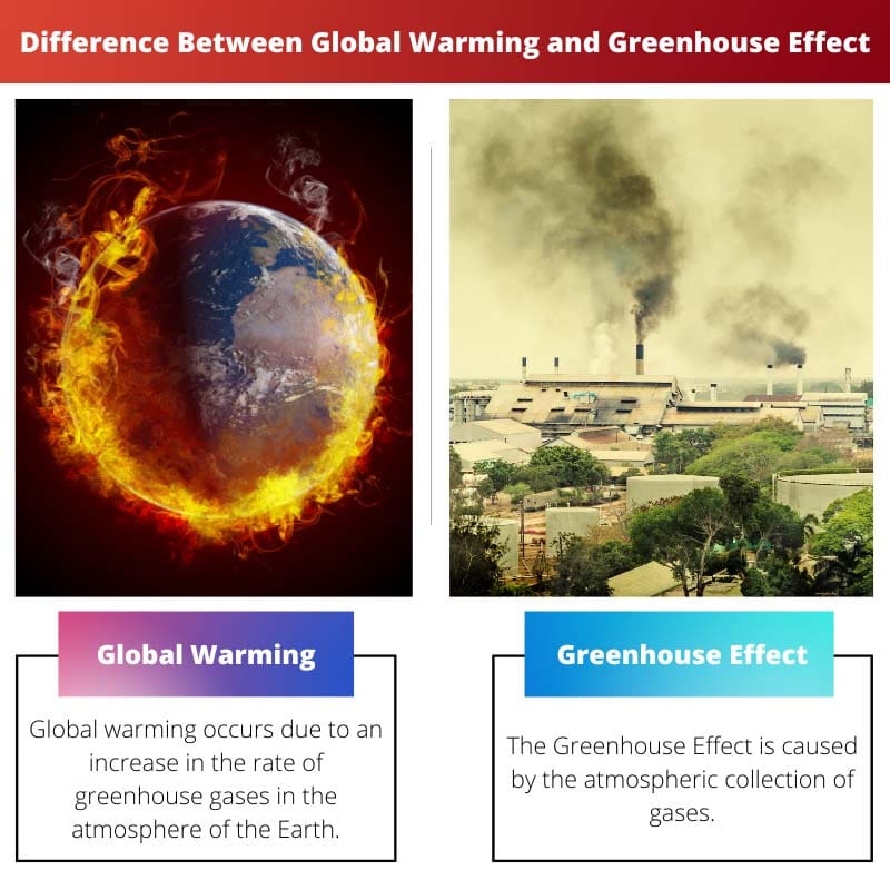 Difference Between Global Warming and Greenhouse Effect