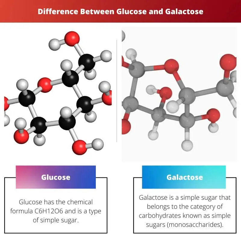 ग्लूकोज और गैलेक्टोज के बीच अंतर