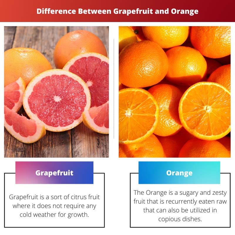 Forskellen mellem grapefrugt og appelsin
