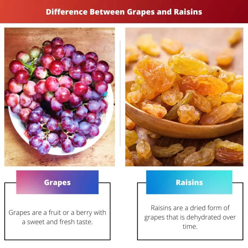 Difference Between Grapes and Raisins