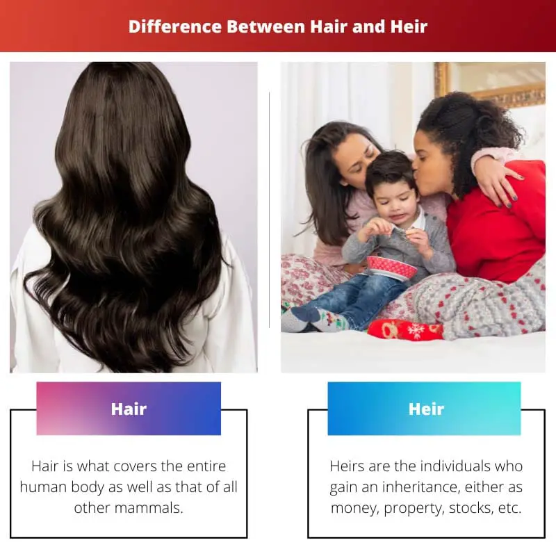 Rozdíl mezi vlasy a dědicem