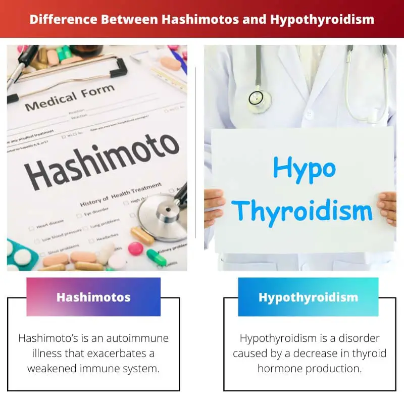 Différence entre Hashimotos et hypothyroïdie
