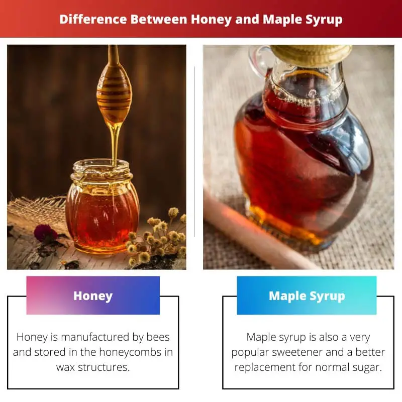 Difference Between Honey and Maple Syrup