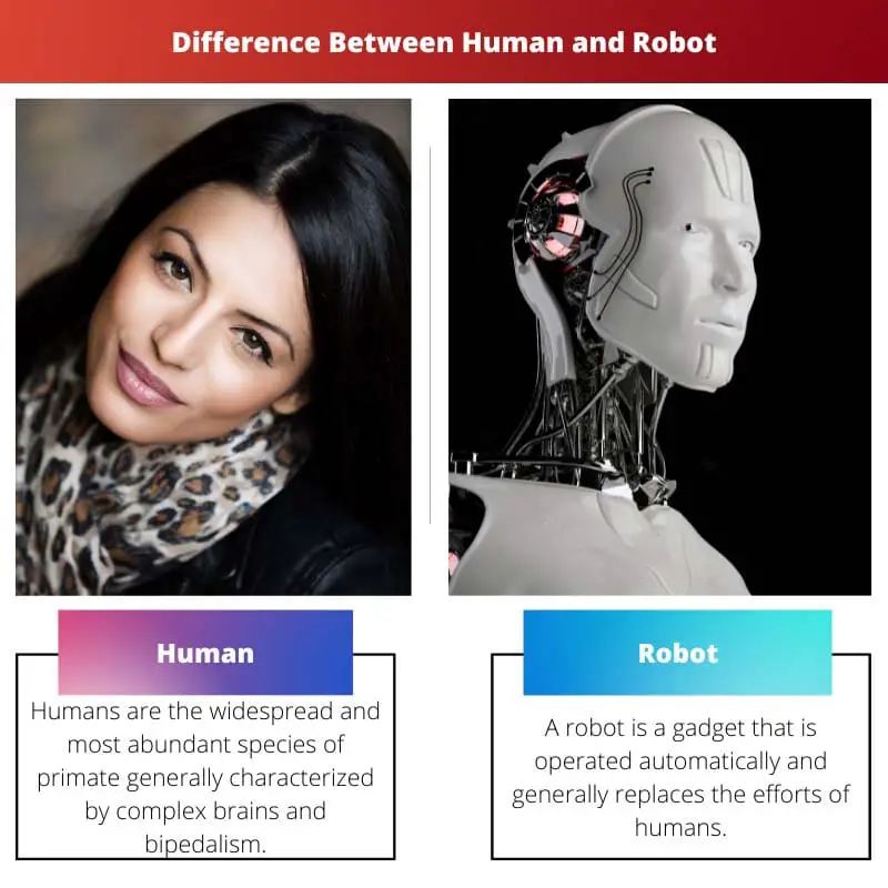 Difference Between Human and Robot