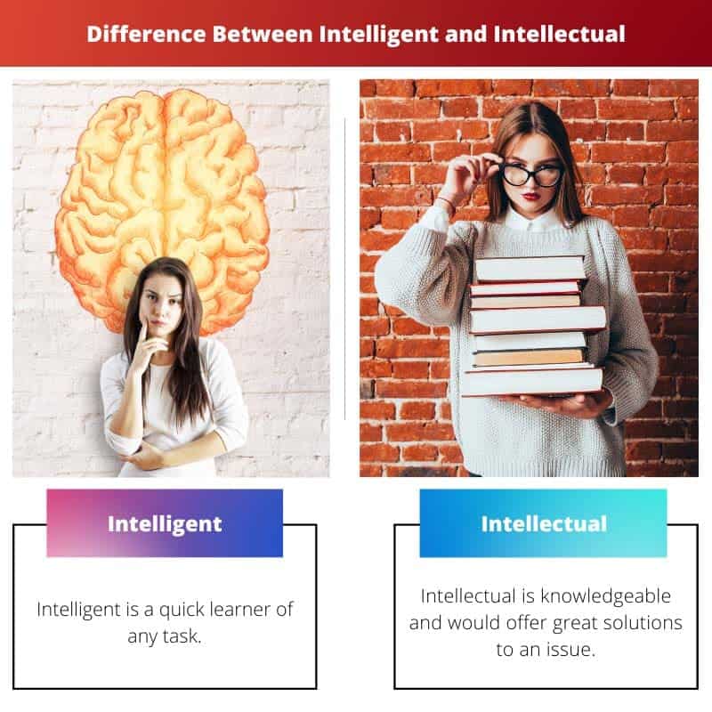 Différence entre intelligent et intellectuel