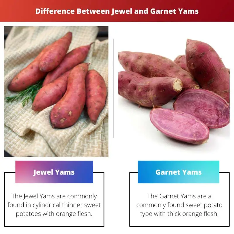 Difference Between Jewel and Garnet Yams