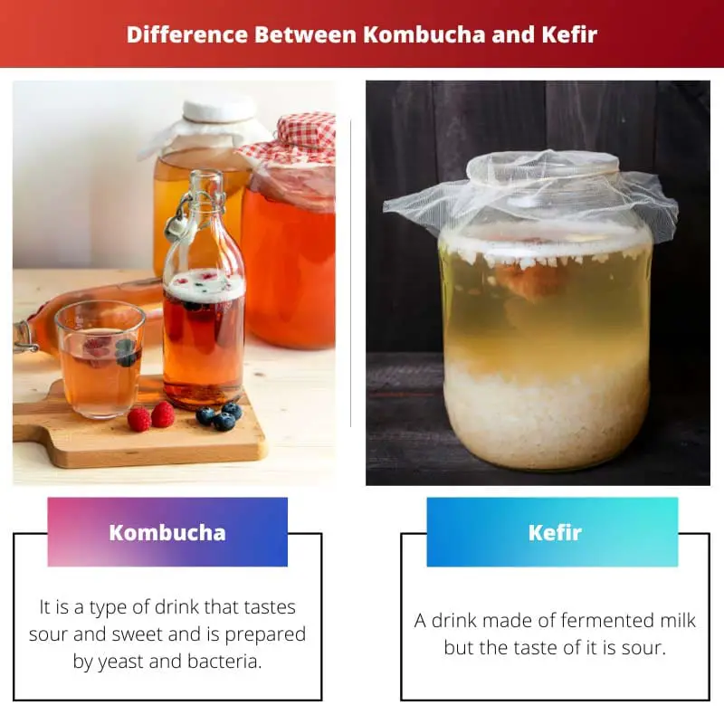 الفرق بين Kombucha و Kefir