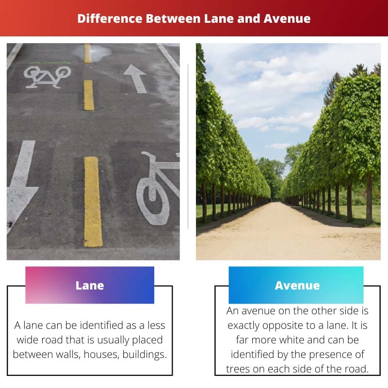 Forskellen mellem Lane og Avenue