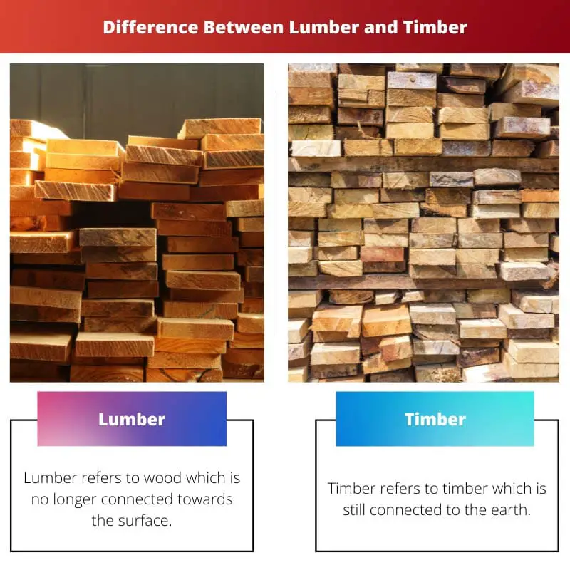 Diferença entre madeira e madeira