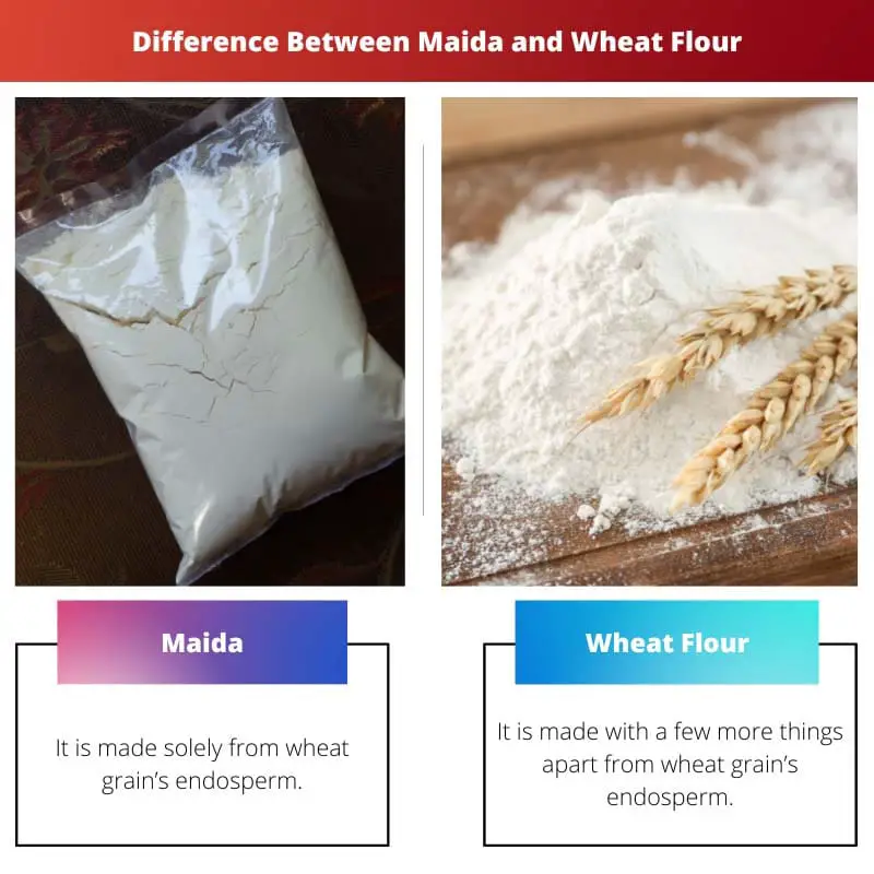 Diferença entre Maida e farinha de trigo