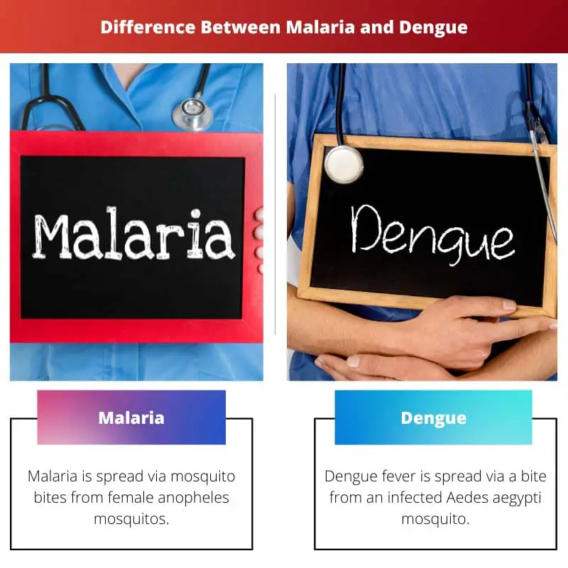 Difference Between Malaria and Dengue