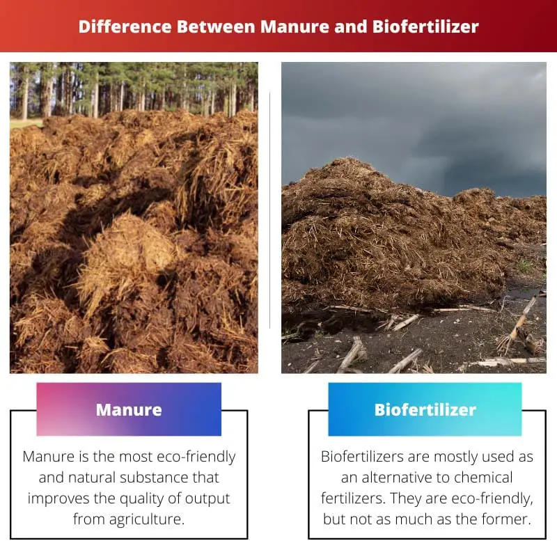 Difference Between Manure and Biofertilizer