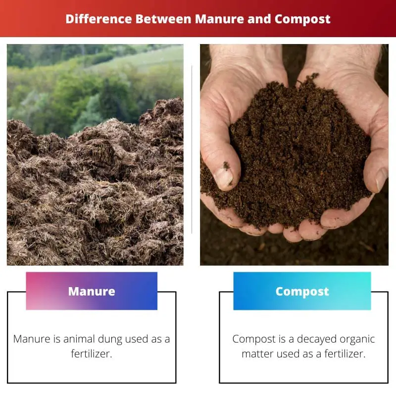Difference Between Manure and Compost