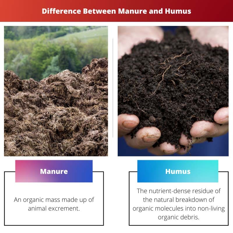 Difference Between Manure and Humus