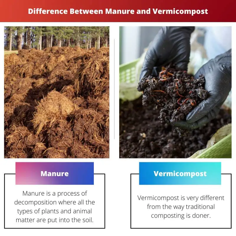 Rozdíl mezi hnojem a vermikompostem
