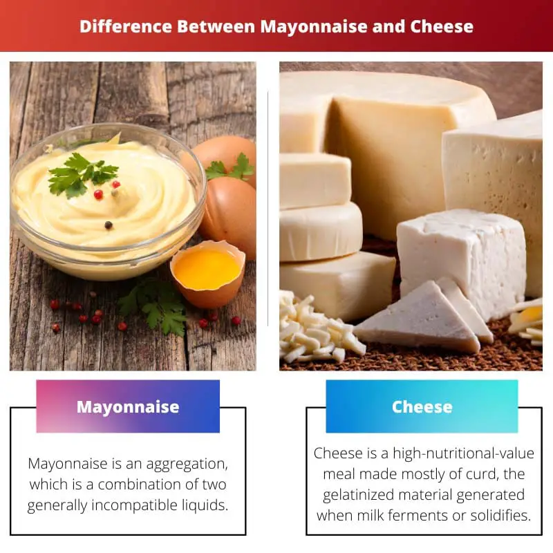 Difference Between Mayonnaise and Cheese