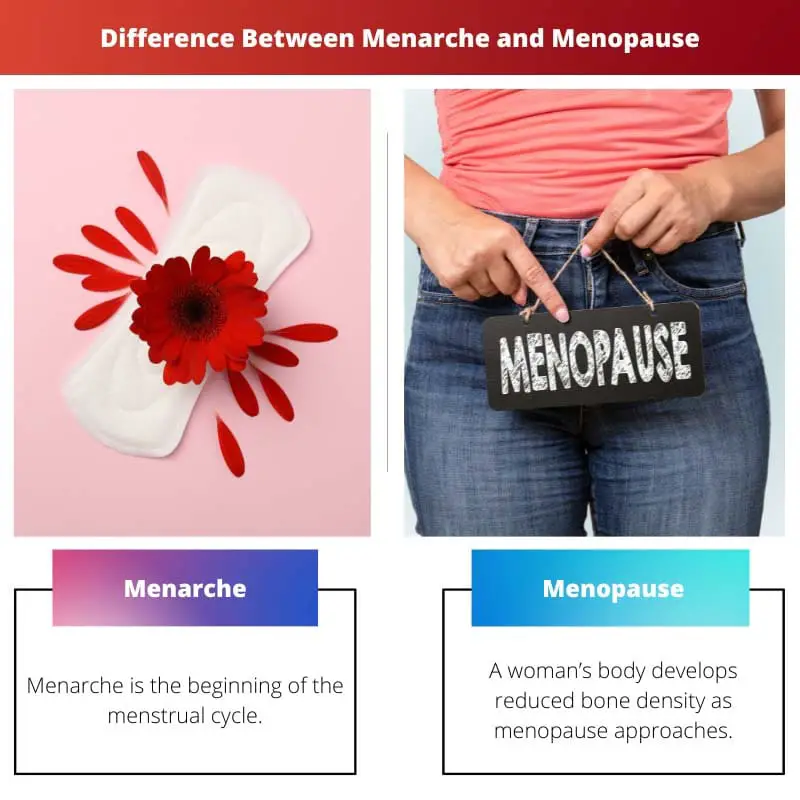 Diferencia entre la menarquia y la menopausia