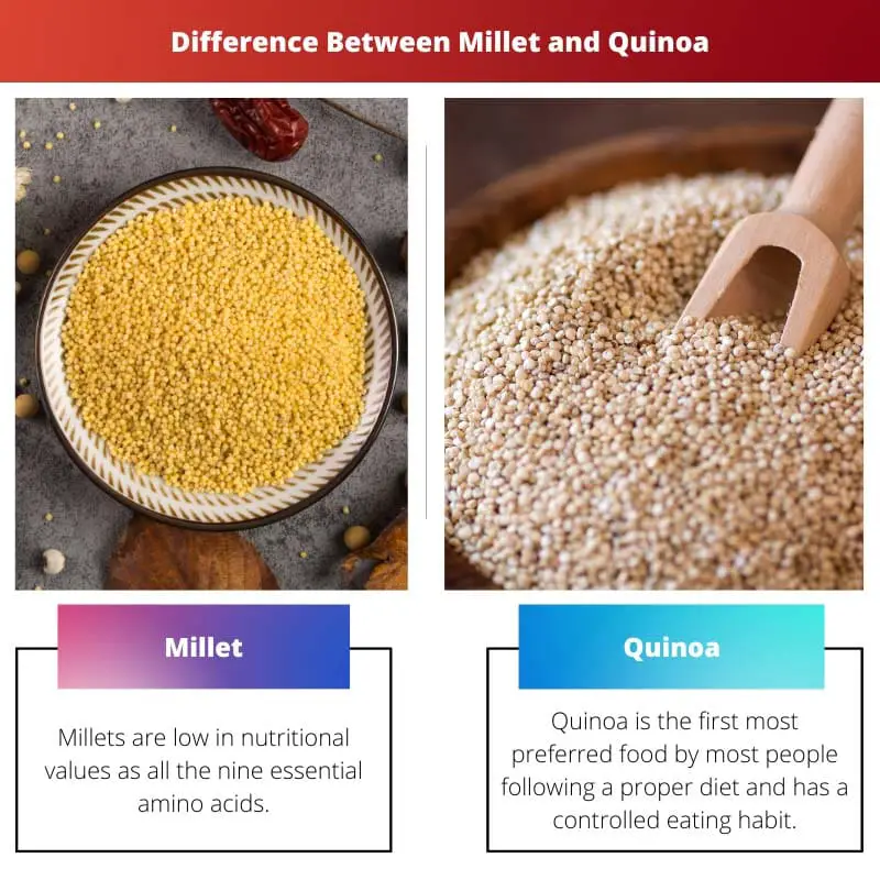 Rozdíl mezi proso a quinoa
