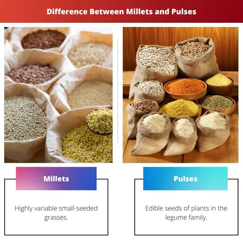 Difference Between Millets and Pulses