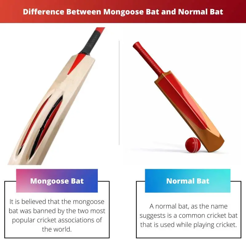 Difference Between Mongoose Bat and Normal Bat