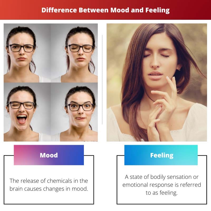Différence entre l'humeur et le sentiment