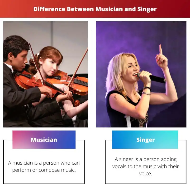 Difference Between Musician and Singer