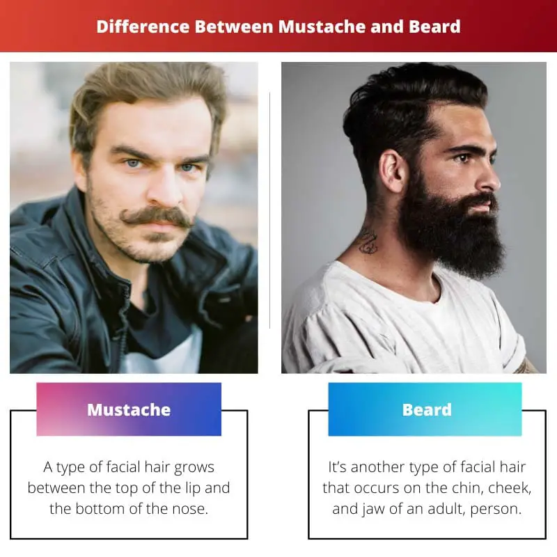 Sự khác biệt giữa ria mép và râu