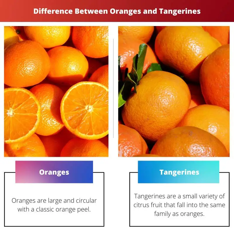 Atšķirība starp apelsīniem un mandarīniem