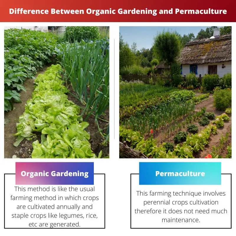 Διαφορά μεταξύ της βιολογικής κηπουρικής και της μόνιμης καλλιέργειας