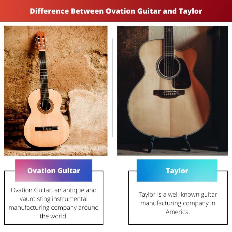 Difference Between Ovation Guitar and Taylor