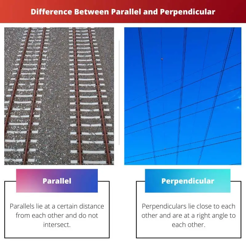 Різниця між паралеллю та перпендикуляром