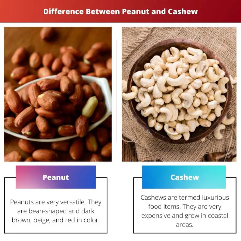 Difference Between Peanut and Cashew
