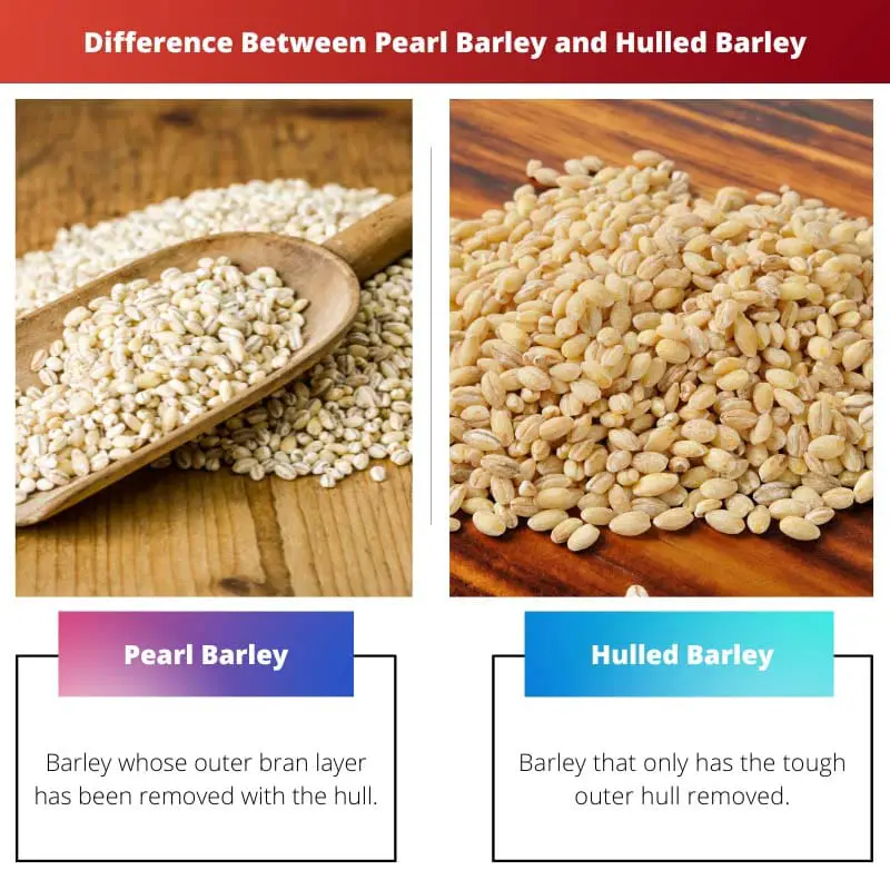 Difference Between Pearl Barley and Hulled Barley