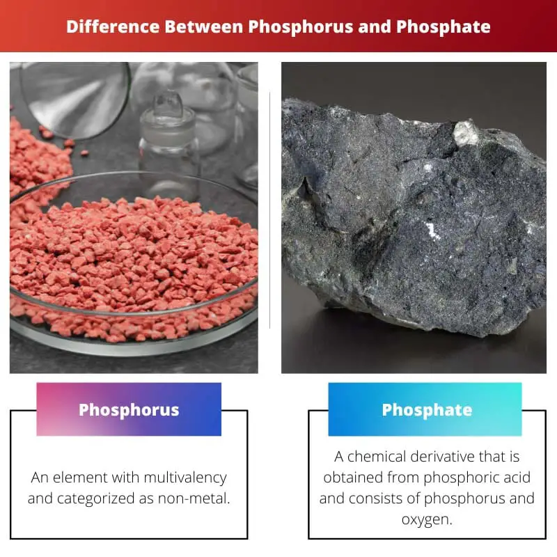 Différence entre le phosphore et le phosphate