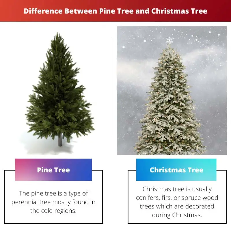 Diferencia entre pino y árbol de navidad