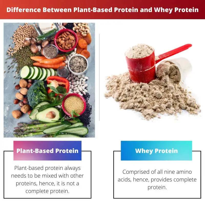 Difference Between Plant Based Protein and Whey Protein