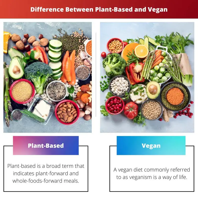 الفرق بين أساس نباتي ونباتي