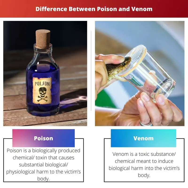 Difference Between Poison and Venom