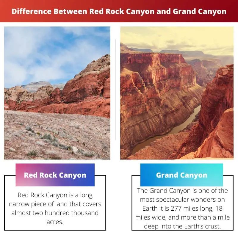 Verschil tussen Red Rock Canyon en Grand Canyon