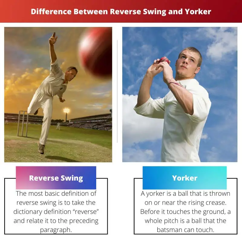 Difference Between Reverse Swing and Yorker