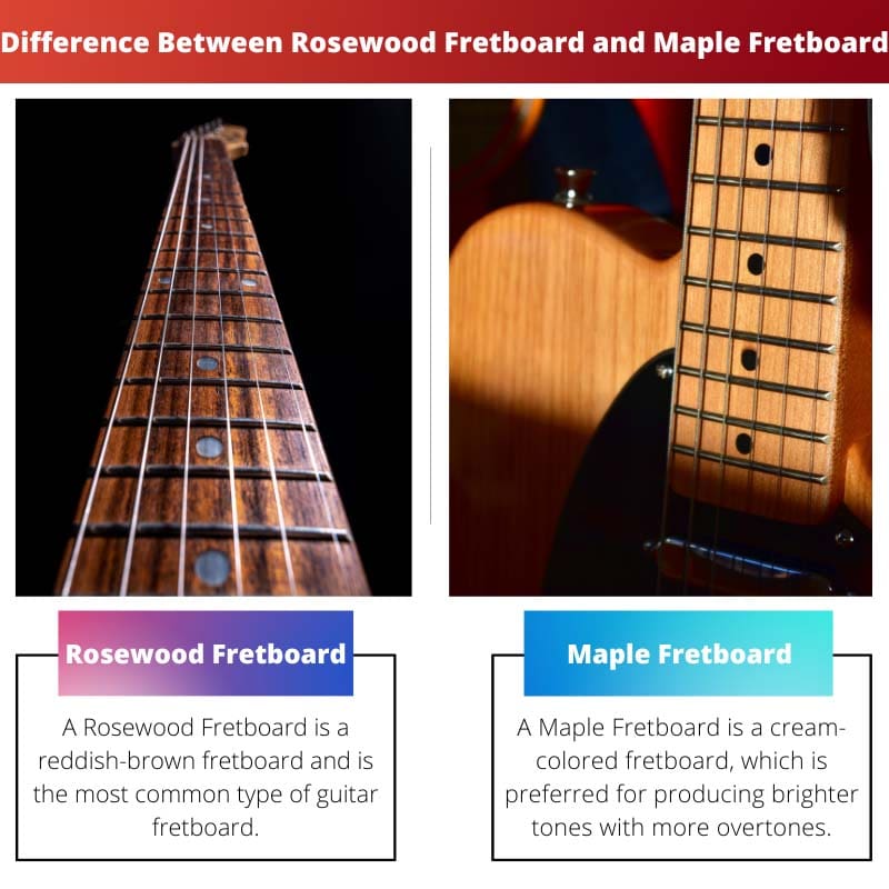 Difference Between Rosewood Fretboard and Maple Fretboard