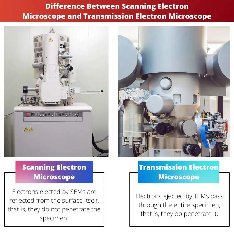 Difference Between Scanning Electron Microscope and Transmission Electron Microscope