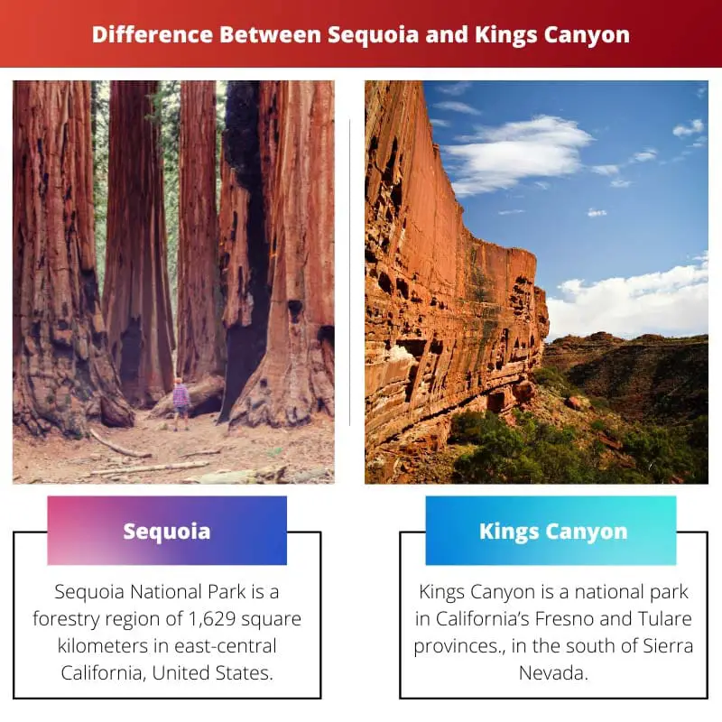 Diferença entre Sequoia e Kings Canyon