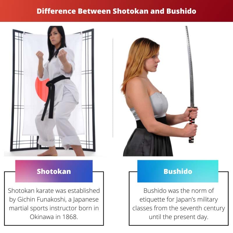 Verschil tussen Shotokan en Bushido