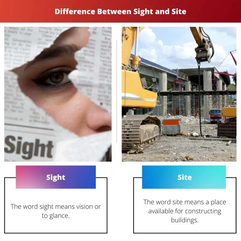 Différence entre la vue et le site