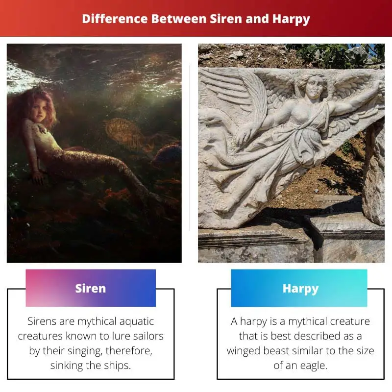 Difference Between Siren and Harpy