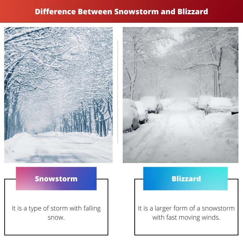 Verschil tussen sneeuwstorm en sneeuwstorm