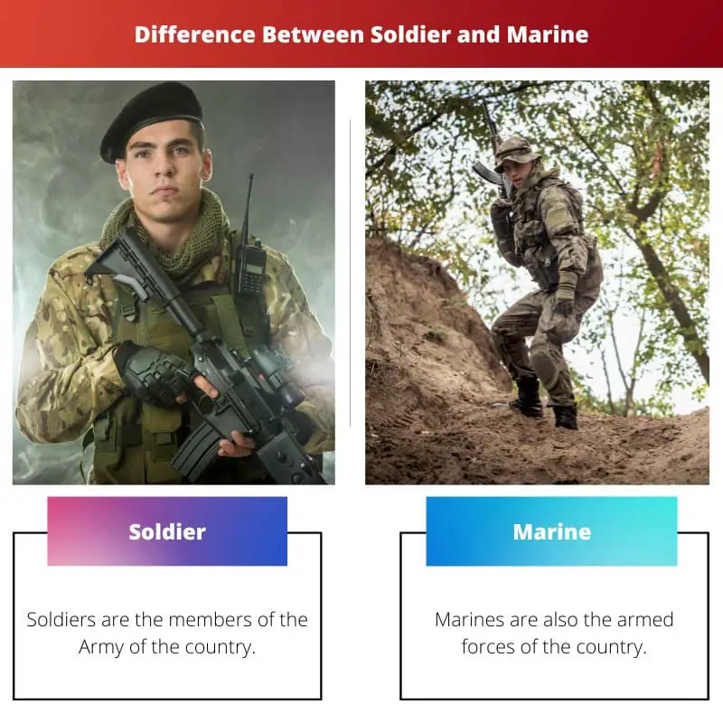 Difference Between Soldier and Marine