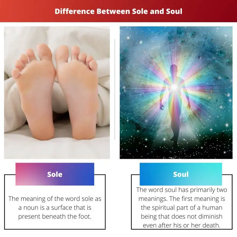 Difference Between Sole and Soul