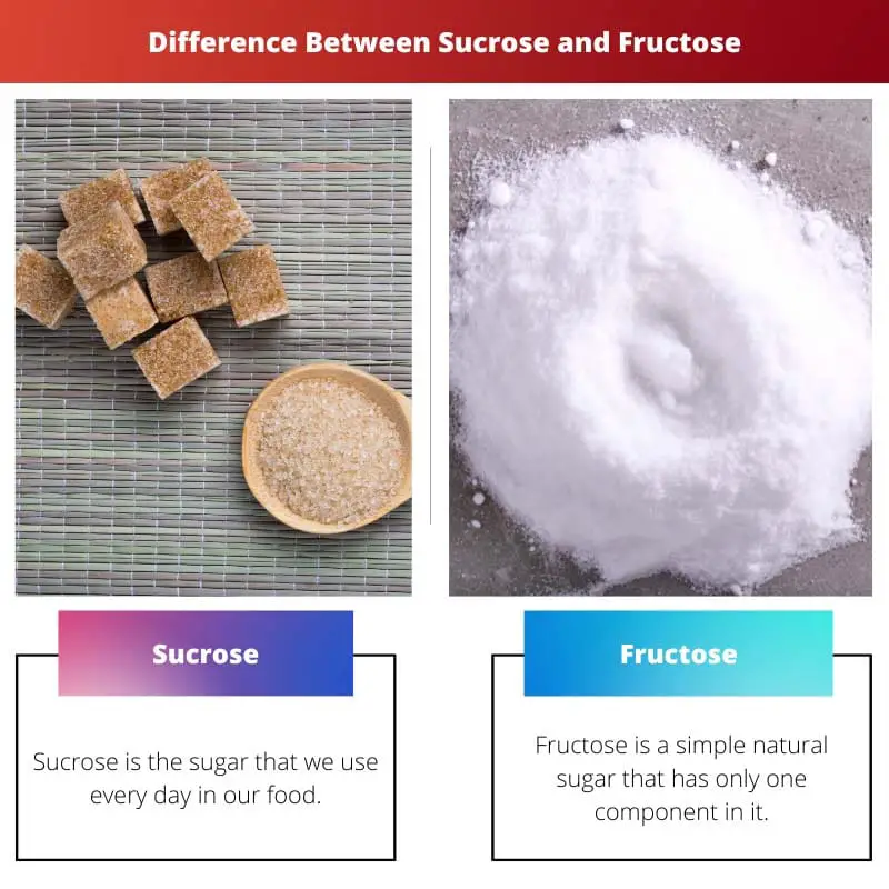 الفرق بين السكروز والفركتوز